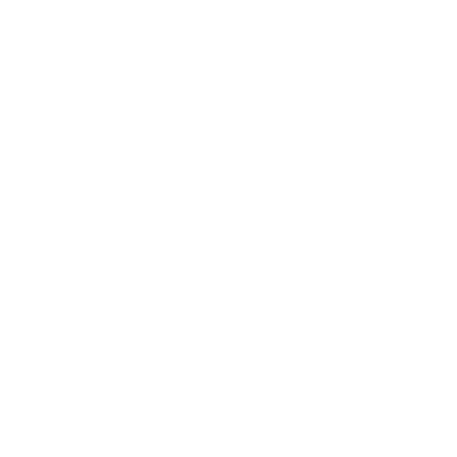 MVP Security